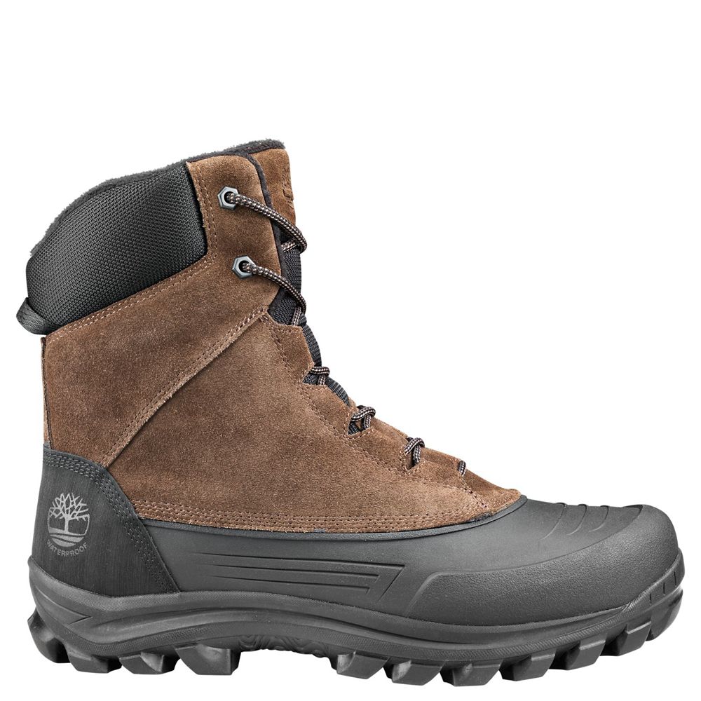 Botas de Invierno Timberland Hombre Snowblades Tall Marrones/Negras - Chile GZA-853471